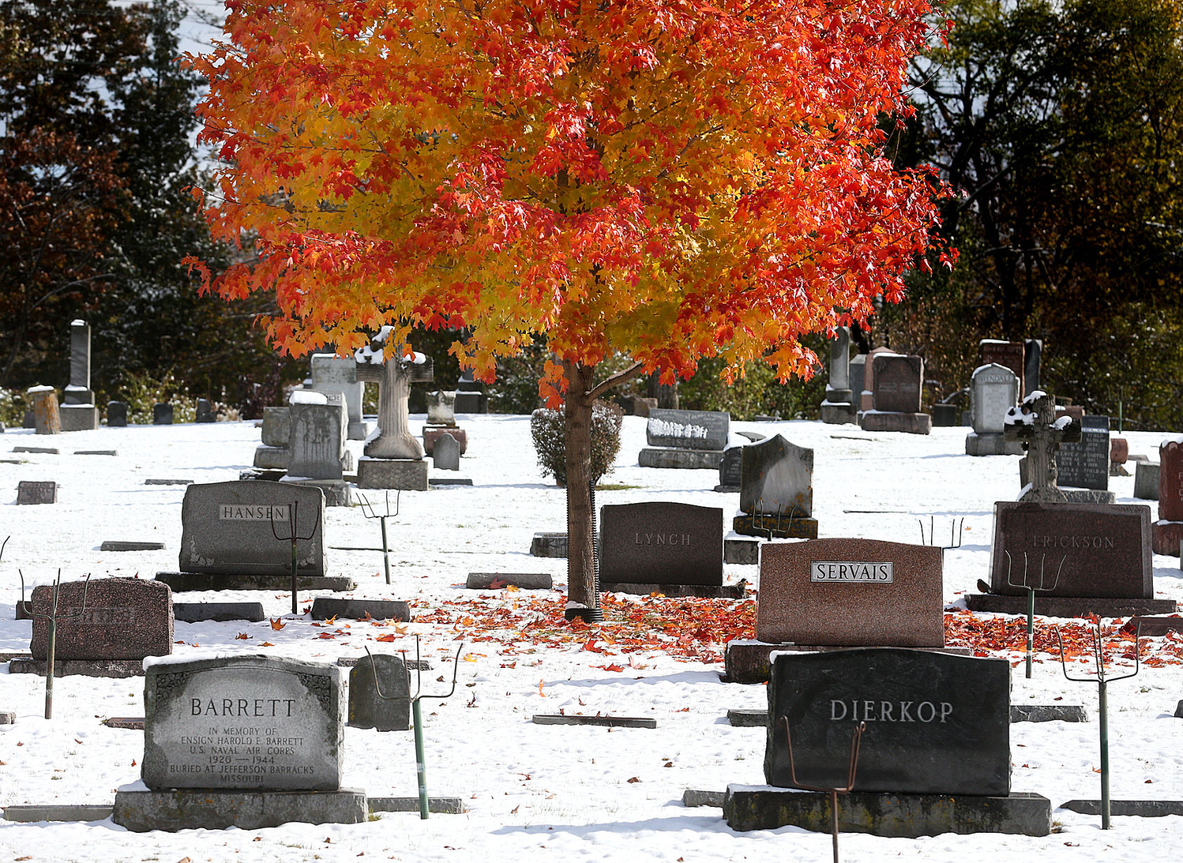 Oak Grove Cemetery